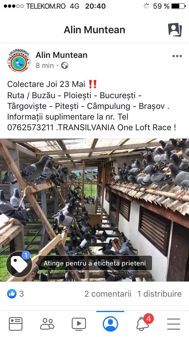 Colectare porumbei 23.05.2019 Brasov - Bucuresti - Targoviste